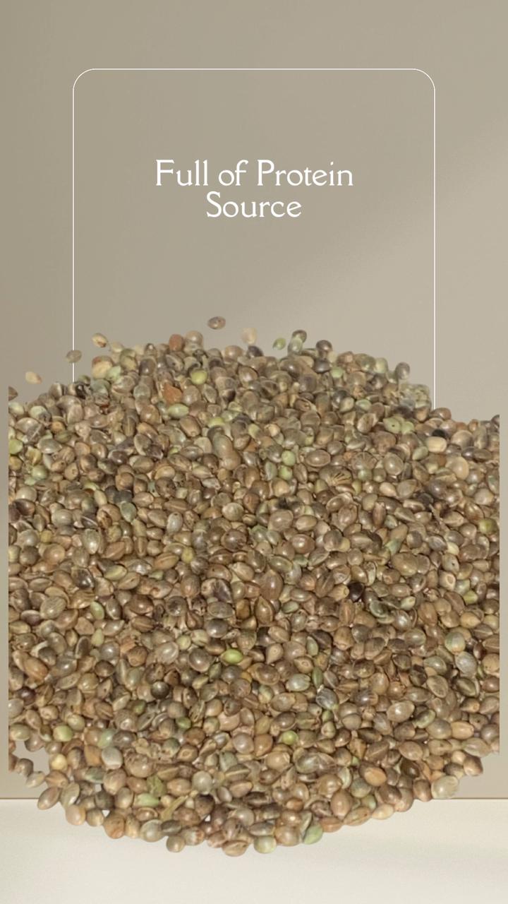 WHOLE HEMP SEEDS-PLANT BASED SOURCE OF PROTEIN