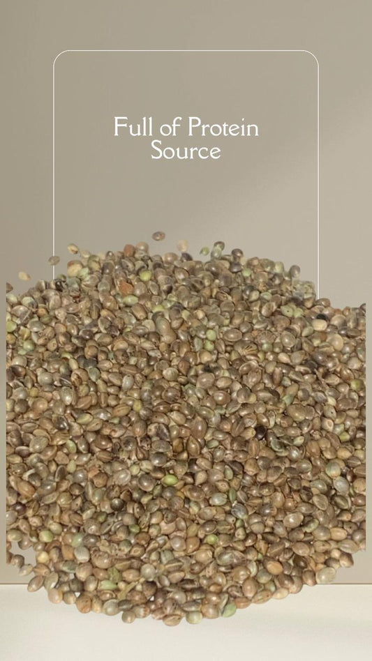 WHOLE HEMP SEEDS-PLANT BASED SOURCE OF PROTEIN